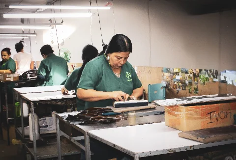 Creative Collection Development